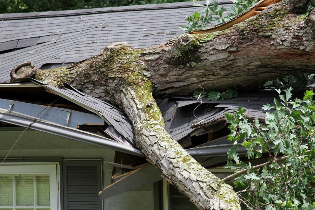A large tree has fallen onto a house, causing significant damage to the roof and eaves. It's essential to contact a roofing contractor immediately to assess and repair the extensive damage.